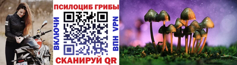 где продают наркотики  Мценск  hydra tor  Галлюциногенные грибы Psilocybe 
